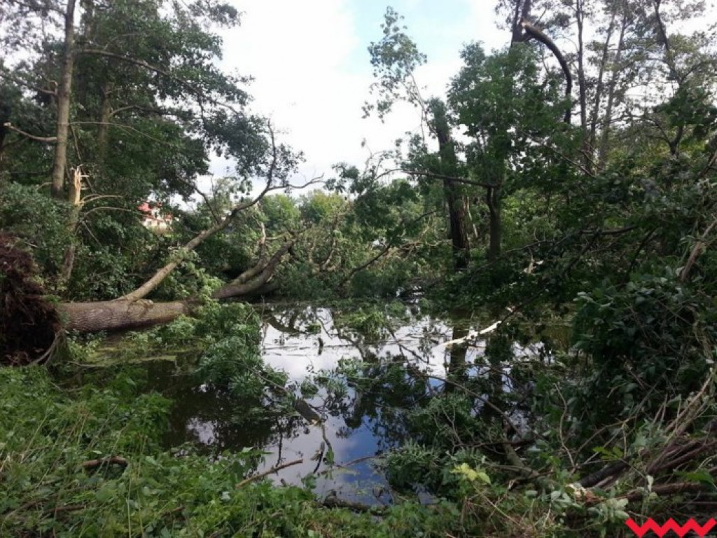 Zerwane dachy, powalone drzewa. Strażacy mają pełne ręce roboty