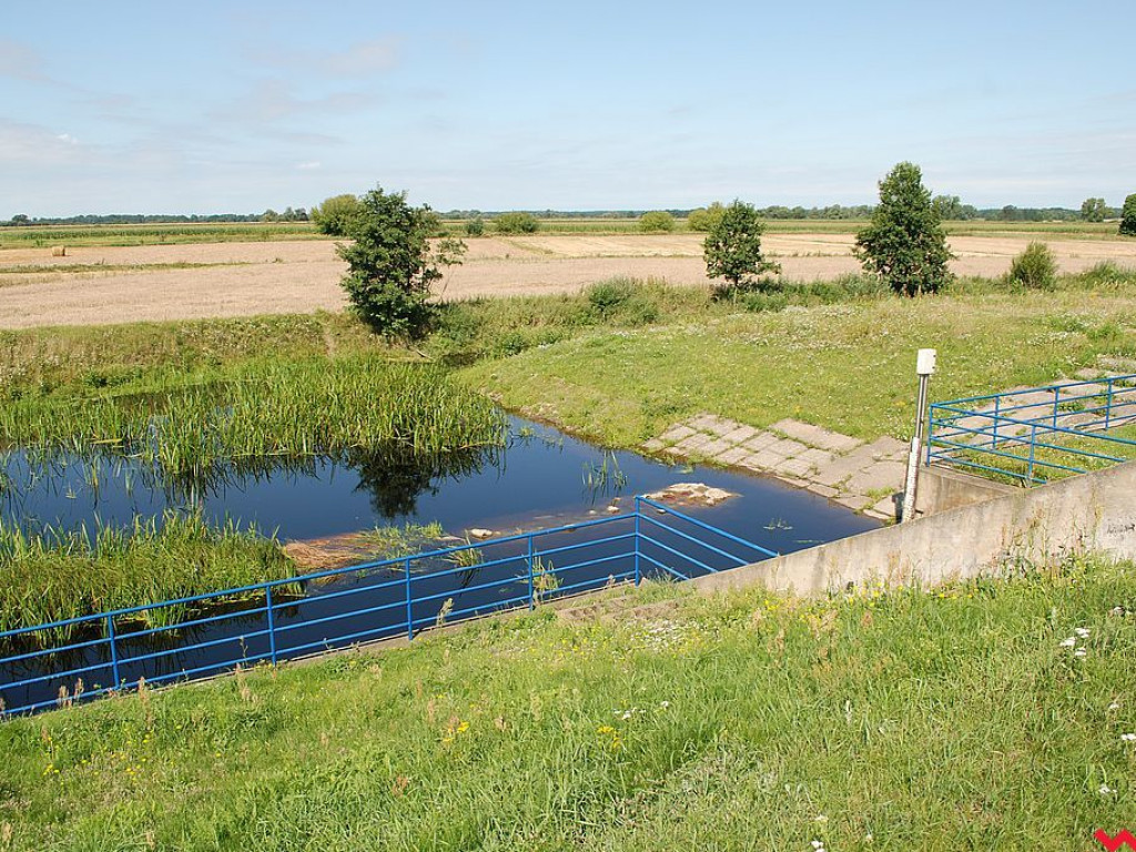 Rolnikom z Zamościa i Modlicy po raz drugi w tym roku woda podtapia łąki i pola