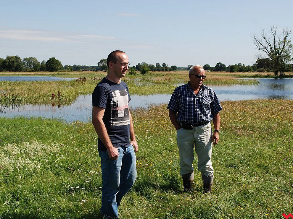 Rolnikom z Zamościa i Modlicy po raz drugi w tym roku woda podtapia łąki i pola