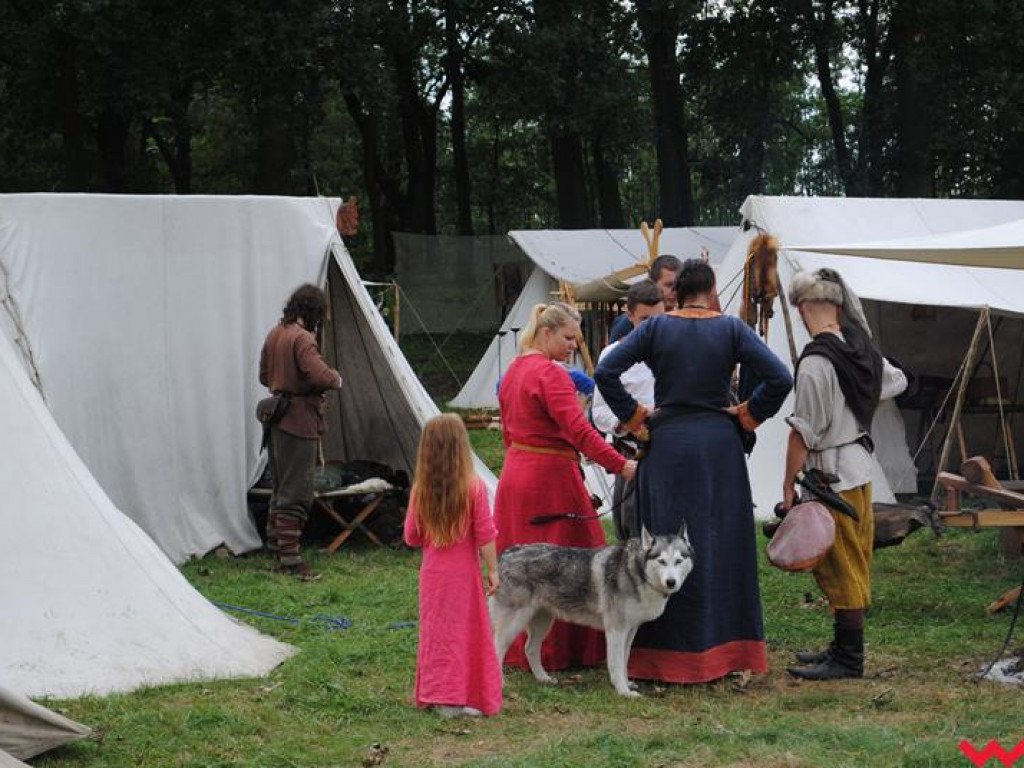 Wielka bitwa Grzybowskiego Turnieju Wojów