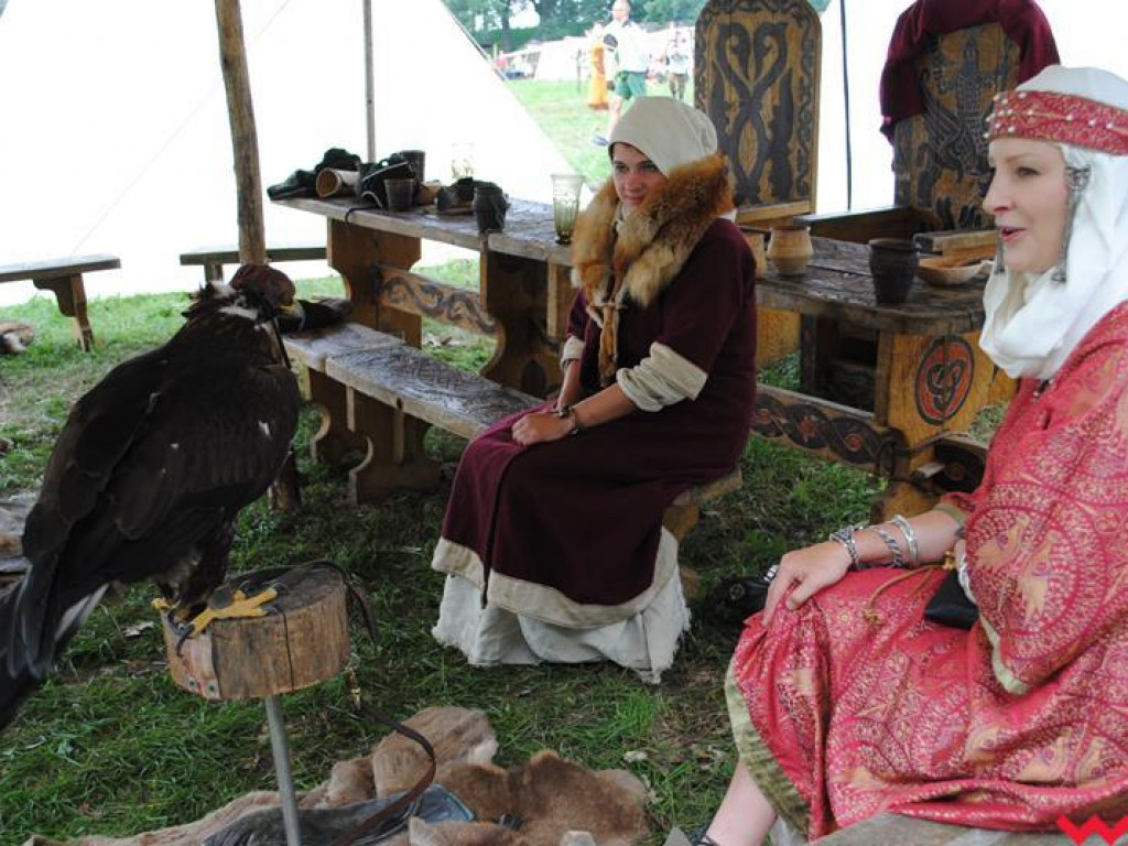 Wielka bitwa Grzybowskiego Turnieju Wojów