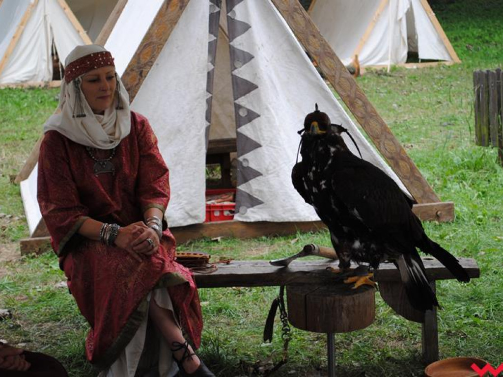 Wielka bitwa Grzybowskiego Turnieju Wojów