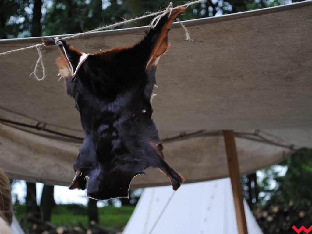 Wielka bitwa Grzybowskiego Turnieju Wojów