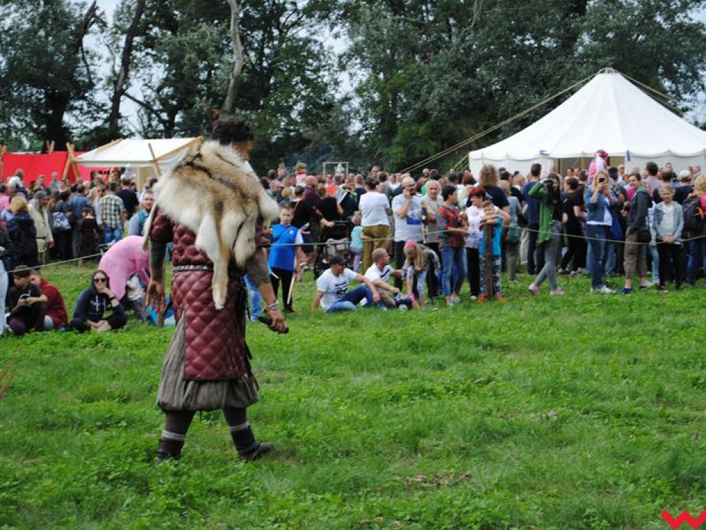 Wielka bitwa Grzybowskiego Turnieju Wojów