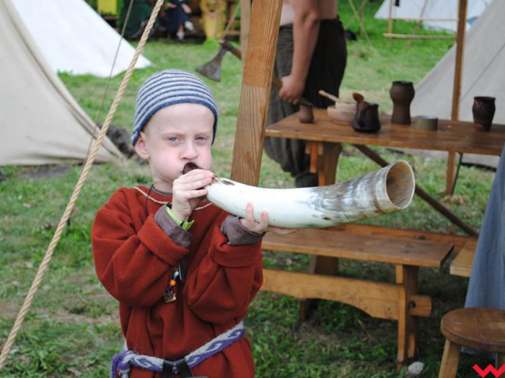 Wielka bitwa Grzybowskiego Turnieju Wojów