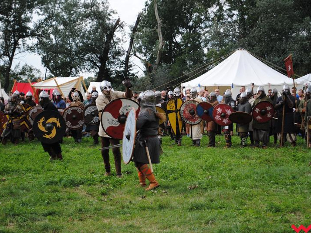 Wielka bitwa Grzybowskiego Turnieju Wojów