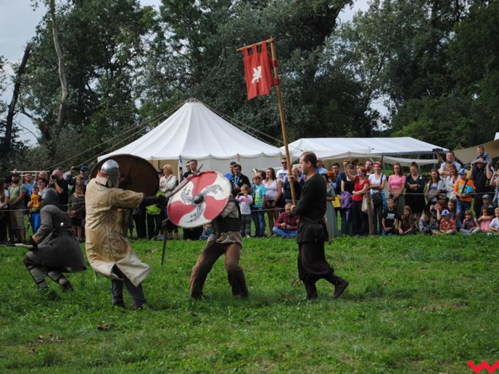 Wielka bitwa Grzybowskiego Turnieju Wojów
