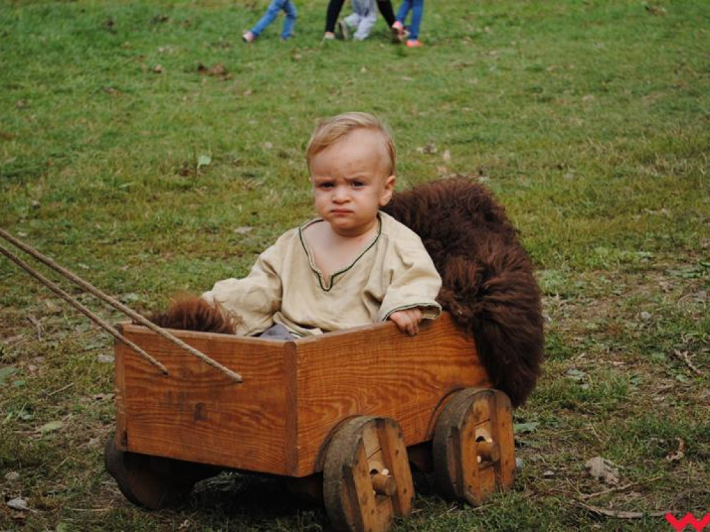 Wielka bitwa Grzybowskiego Turnieju Wojów