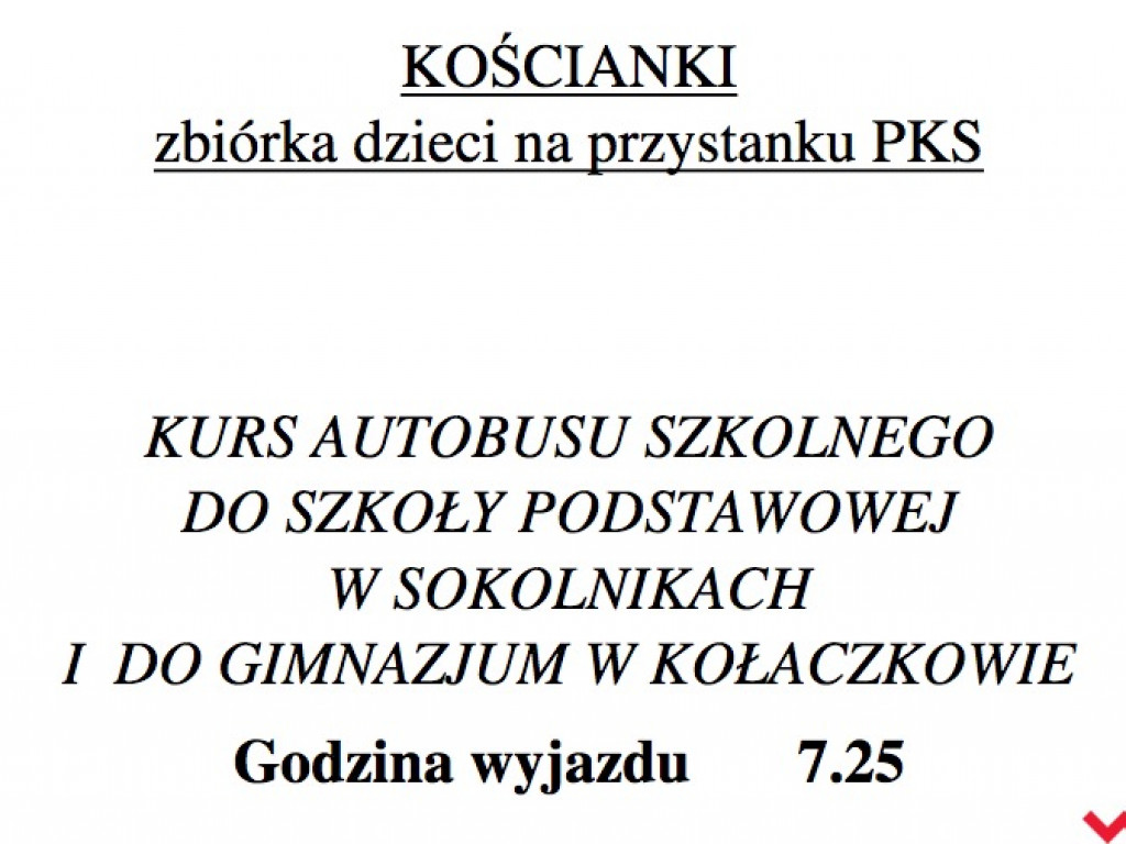 Gmina publikuje rozkład jazdy autobusów szkolnych, ale zapowiada rychłą korektę