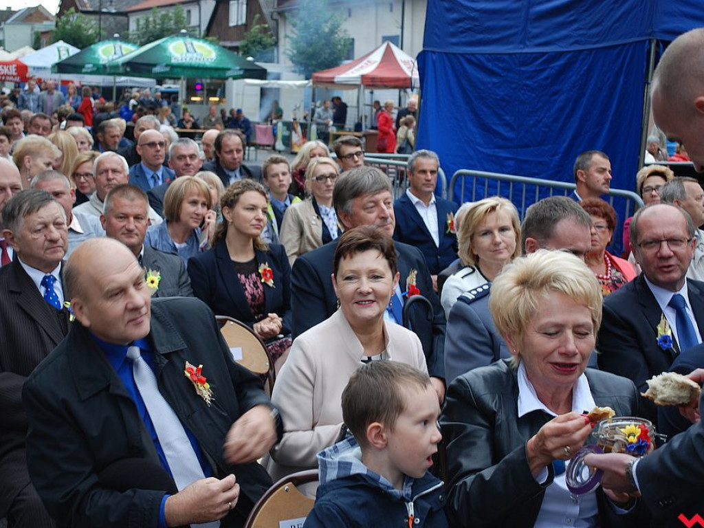 Powiatowe święto plonów w Pyzdrach