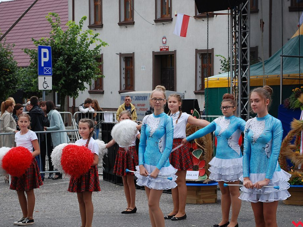 Powiatowe święto plonów w Pyzdrach