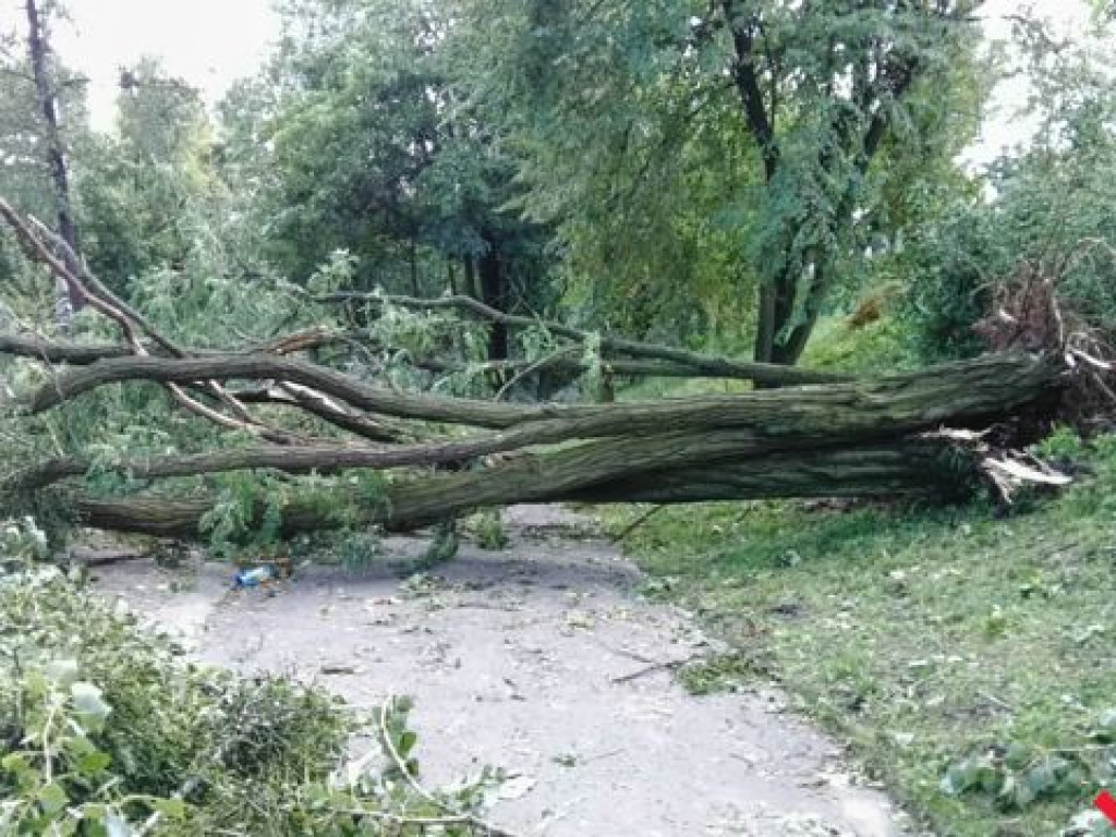 Park Piłsudskiego wciąż zamknięty. Trwa sprzątanie ponad 200 połamanych drzew