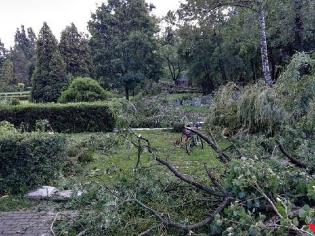 Park Piłsudskiego wciąż zamknięty. Trwa sprzątanie ponad 200 połamanych drzew