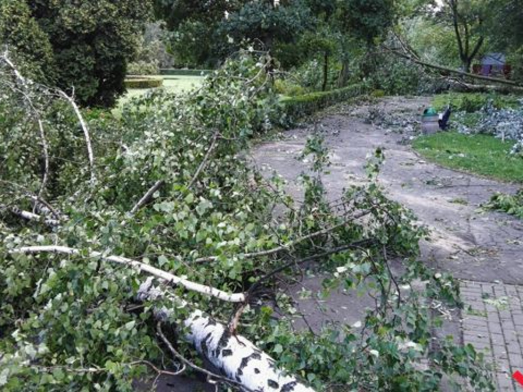 Park Piłsudskiego wciąż zamknięty. Trwa sprzątanie ponad 200 połamanych drzew