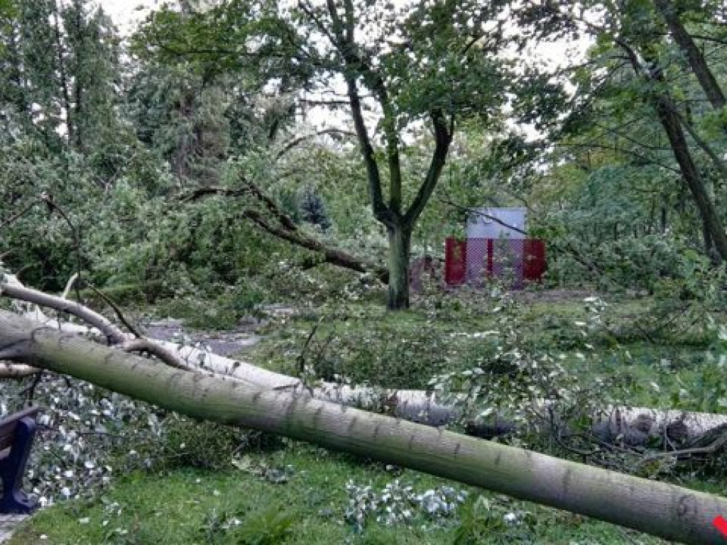 Park Piłsudskiego wciąż zamknięty. Trwa sprzątanie ponad 200 połamanych drzew