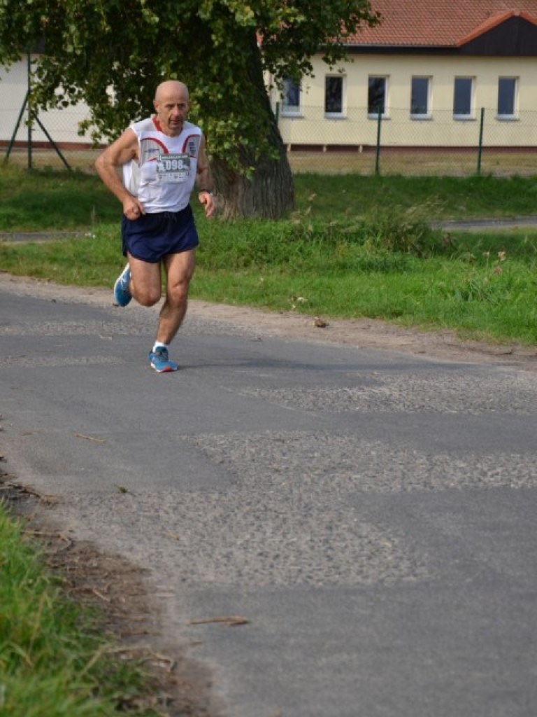 Pobiegło blisko 200 zawodników. Najszybszy poznaniak