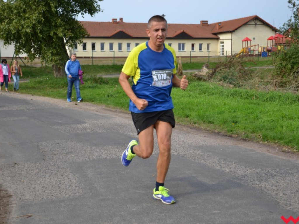 Pobiegło blisko 200 zawodników. Najszybszy poznaniak