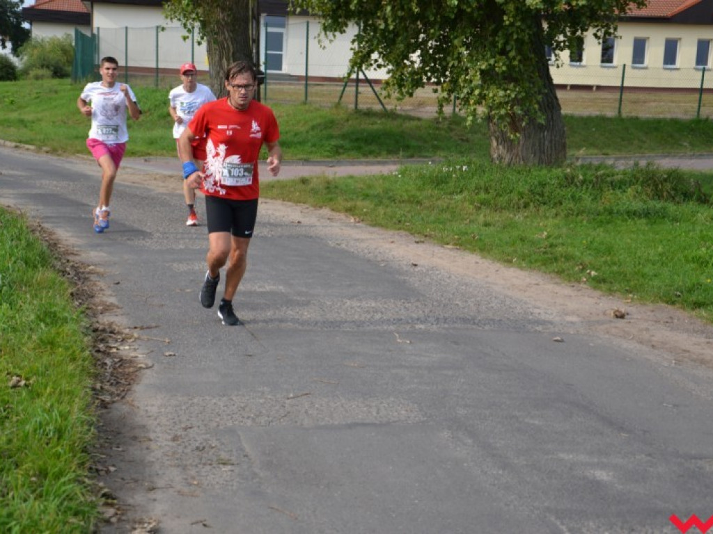 Pobiegło blisko 200 zawodników. Najszybszy poznaniak