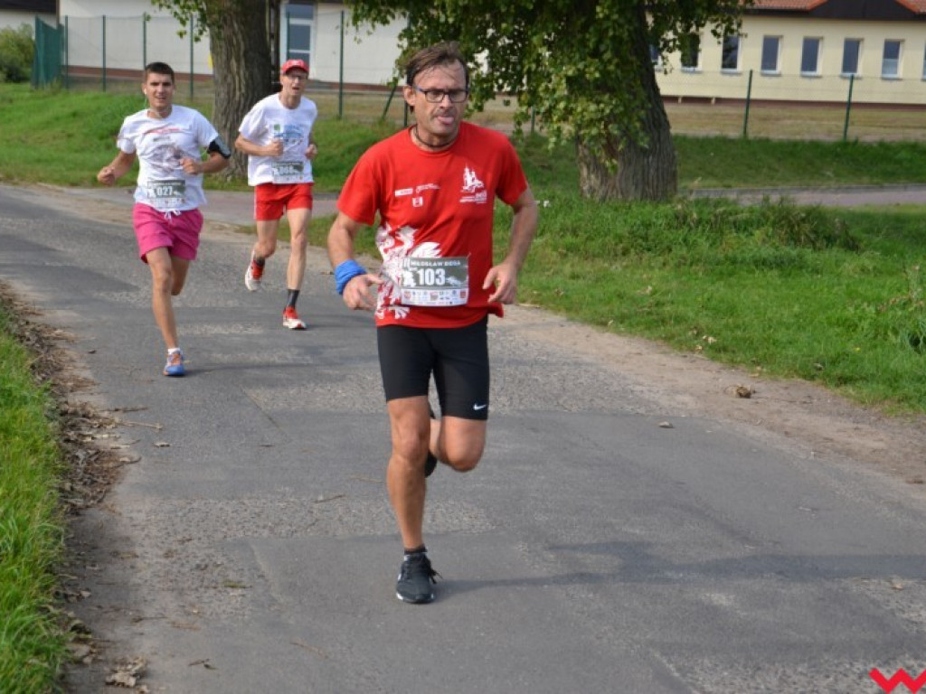 Pobiegło blisko 200 zawodników. Najszybszy poznaniak