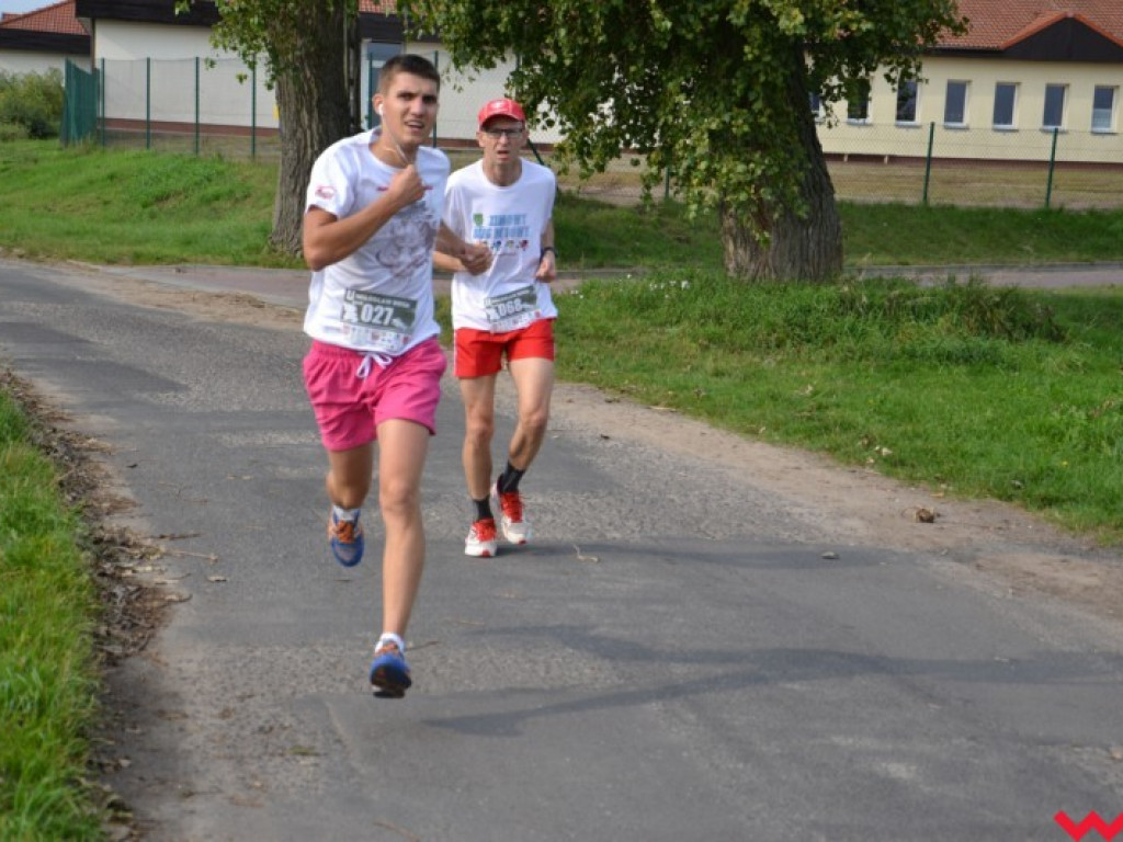 Pobiegło blisko 200 zawodników. Najszybszy poznaniak