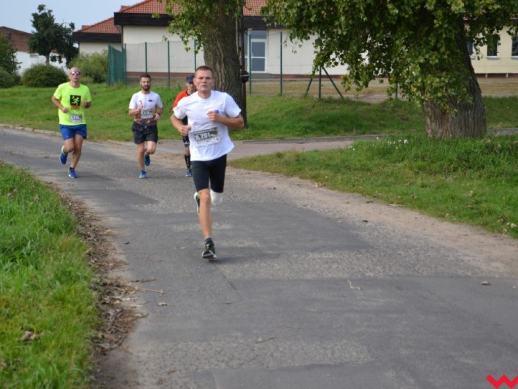Pobiegło blisko 200 zawodników. Najszybszy poznaniak