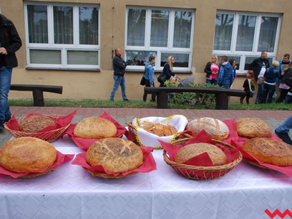 Gmina Nekla podziękowała za plony. W tym roku dożynki odbyły się w Targowej Górce