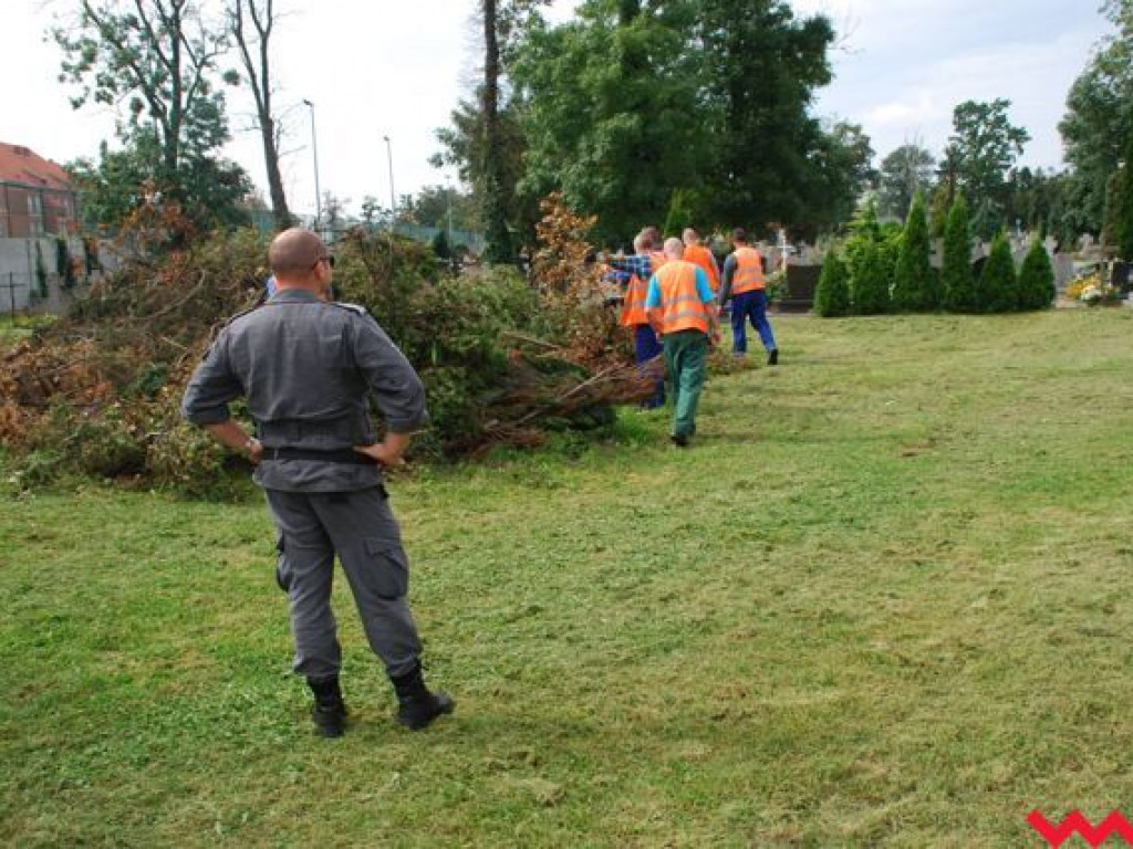Prace porządkowe jako reedukacja na wrzesińskim cmentarzu parafialnym przy ul. Gnieźnieńskiej