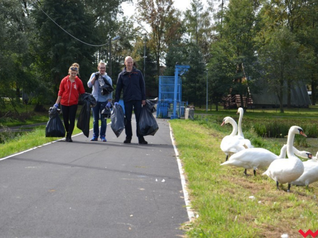 Śmieciobranie nad zalewem Lipówka. Jest czyściej