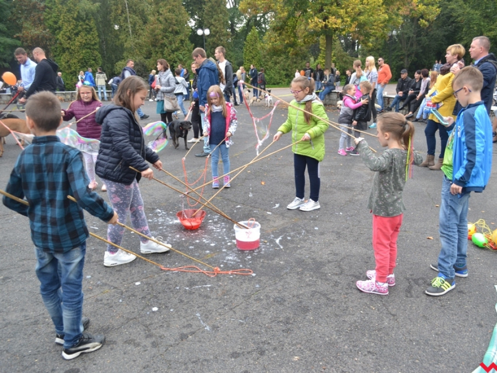 Piknik merdających ogonów. Udane pierwsze urodziny Stowarzyszenia Psi-Jaciel
