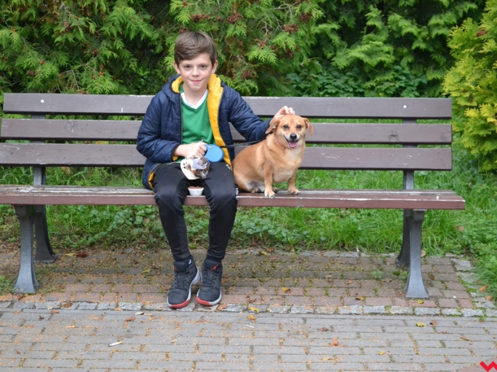 Piknik merdających ogonów. Udane pierwsze urodziny Stowarzyszenia Psi-Jaciel
