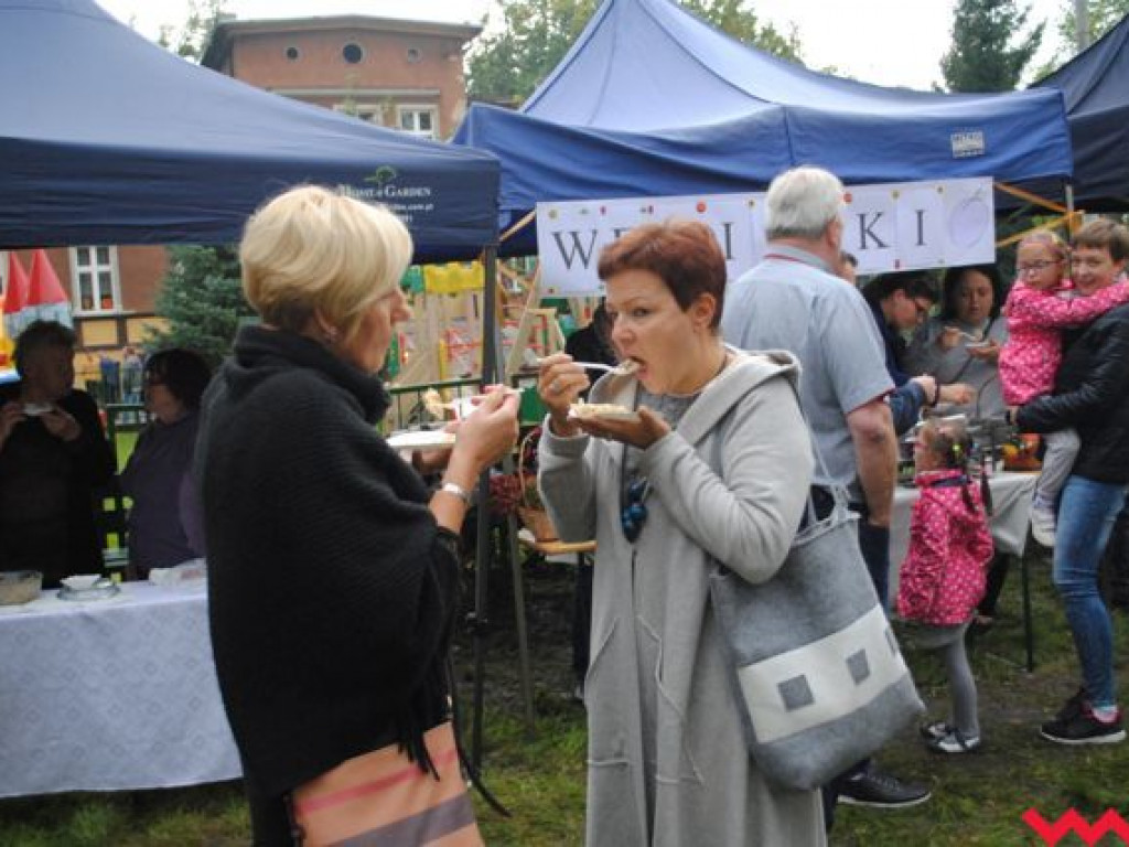 VI Wielkopolskie Święto Pyry za nami