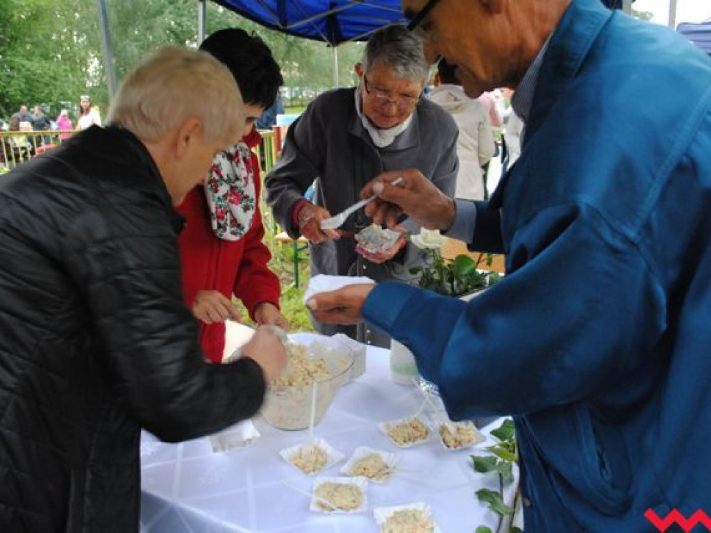 VI Wielkopolskie Święto Pyry za nami