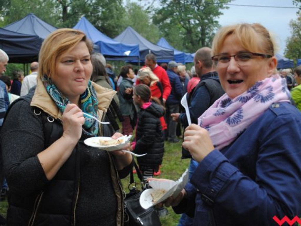 VI Wielkopolskie Święto Pyry za nami