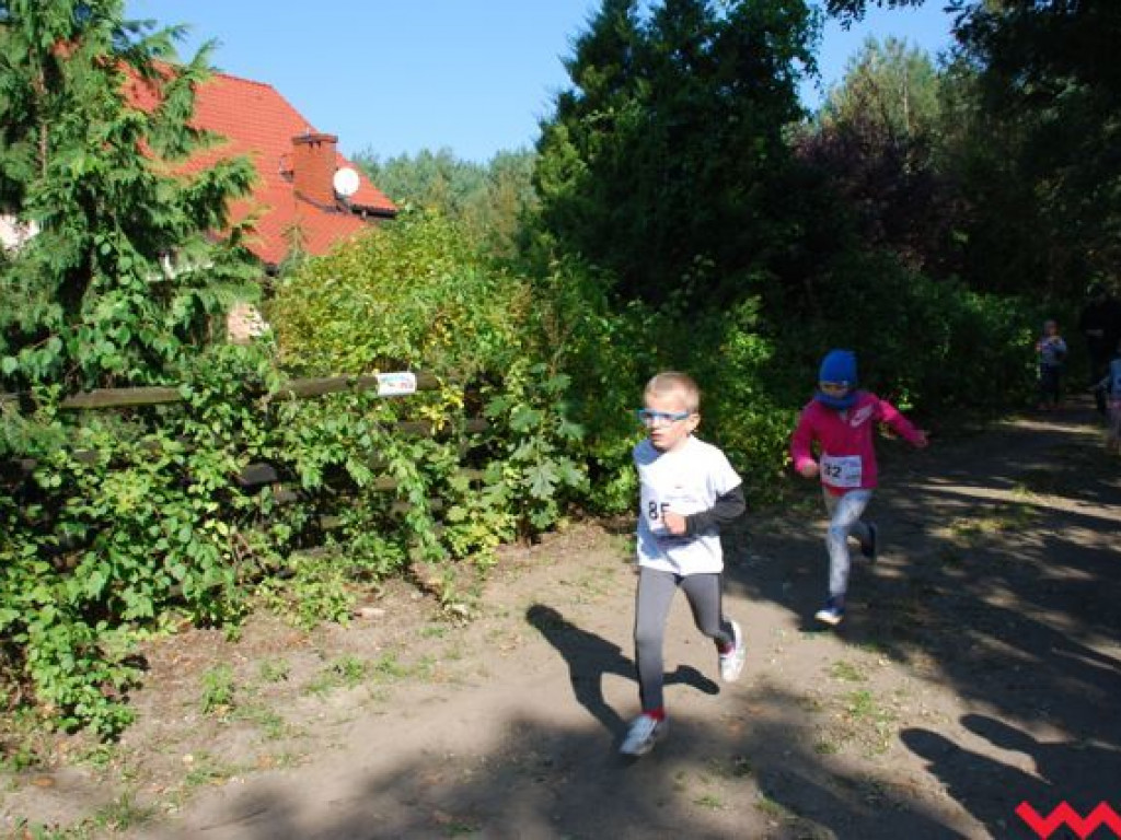 Niedziela na sportowo. Za nami Olęderska Mila. Dopisała pogoda i biegacze