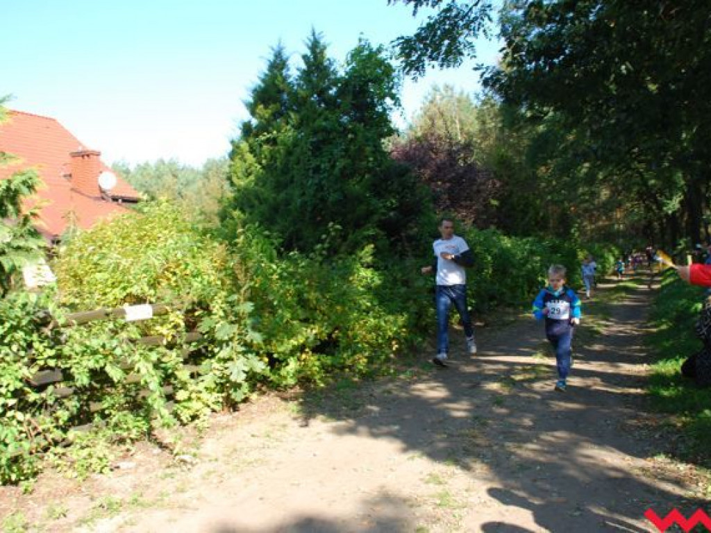 Niedziela na sportowo. Za nami Olęderska Mila. Dopisała pogoda i biegacze