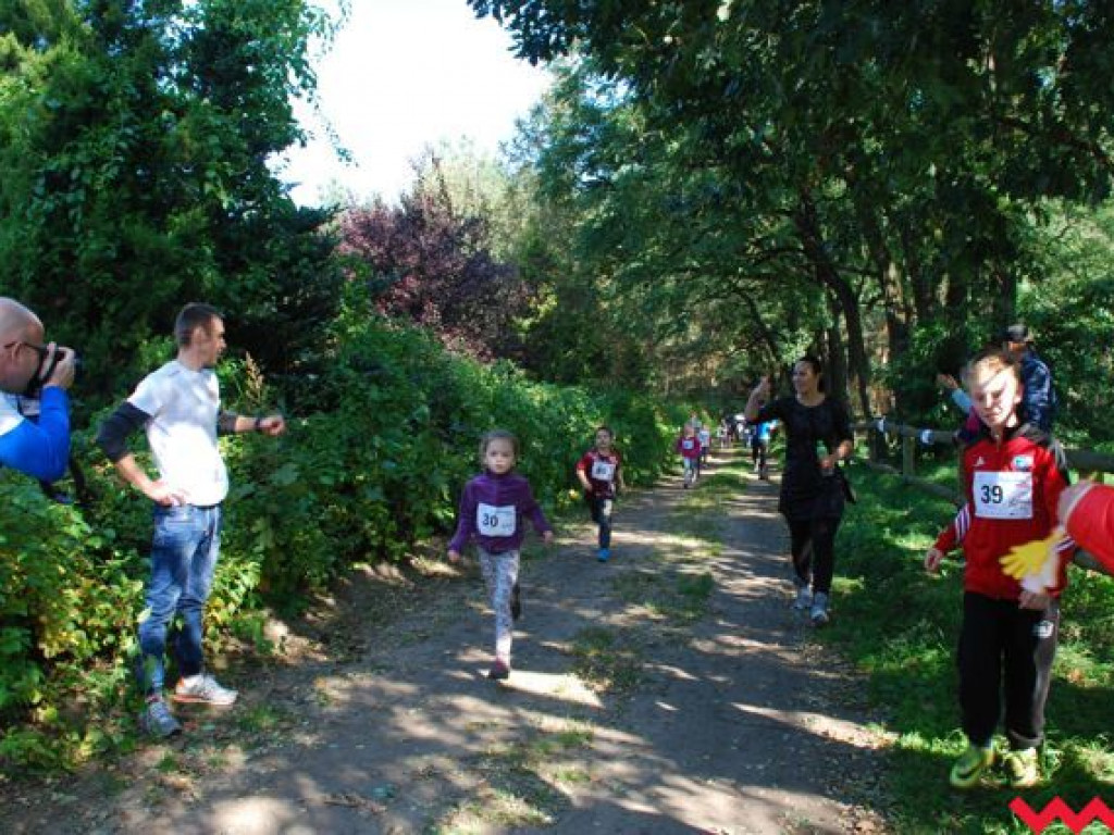 Niedziela na sportowo. Za nami Olęderska Mila. Dopisała pogoda i biegacze