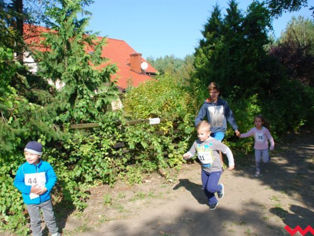 Niedziela na sportowo. Za nami Olęderska Mila. Dopisała pogoda i biegacze