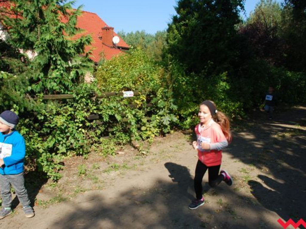 Niedziela na sportowo. Za nami Olęderska Mila. Dopisała pogoda i biegacze