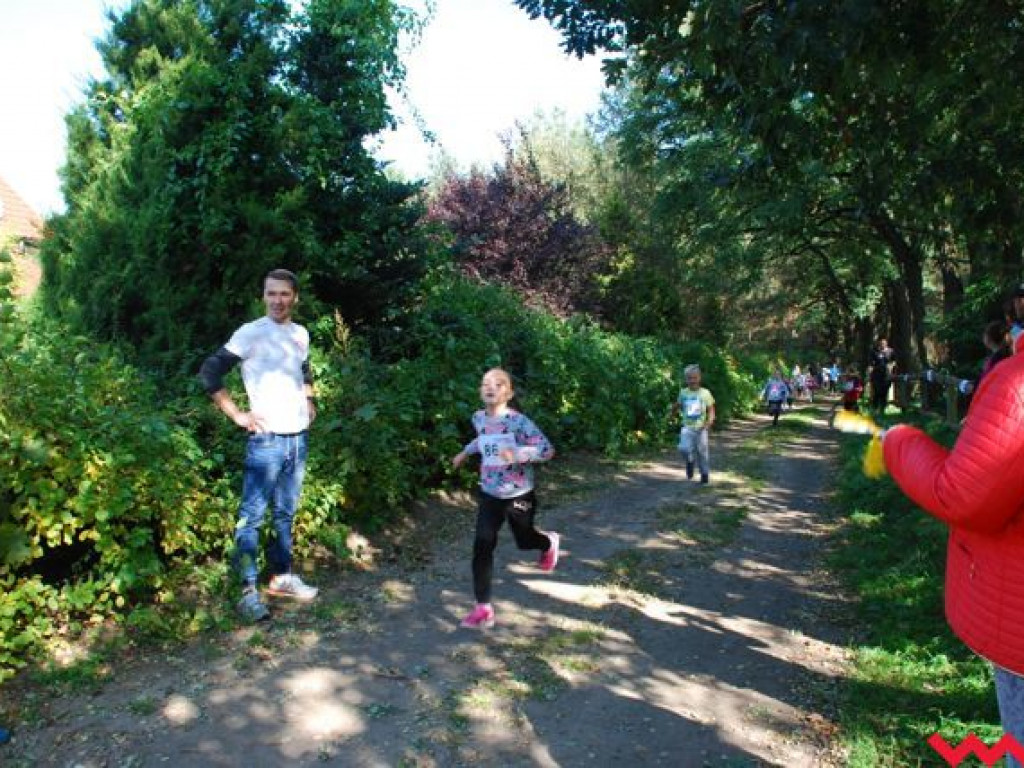 Niedziela na sportowo. Za nami Olęderska Mila. Dopisała pogoda i biegacze
