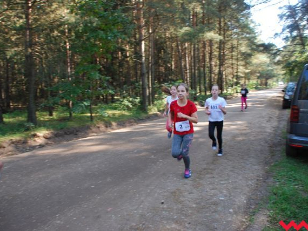 Niedziela na sportowo. Za nami Olęderska Mila. Dopisała pogoda i biegacze