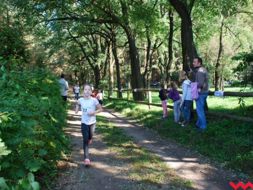 Niedziela na sportowo. Za nami Olęderska Mila. Dopisała pogoda i biegacze