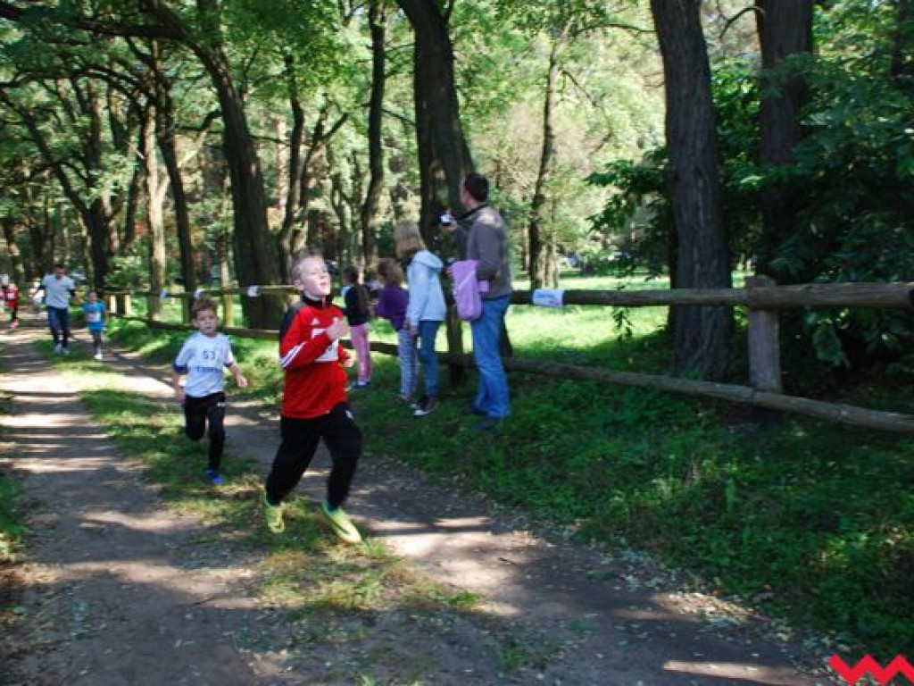 Niedziela na sportowo. Za nami Olęderska Mila. Dopisała pogoda i biegacze