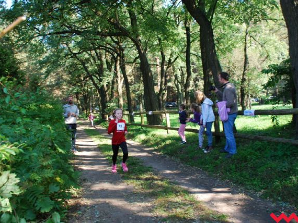 Niedziela na sportowo. Za nami Olęderska Mila. Dopisała pogoda i biegacze