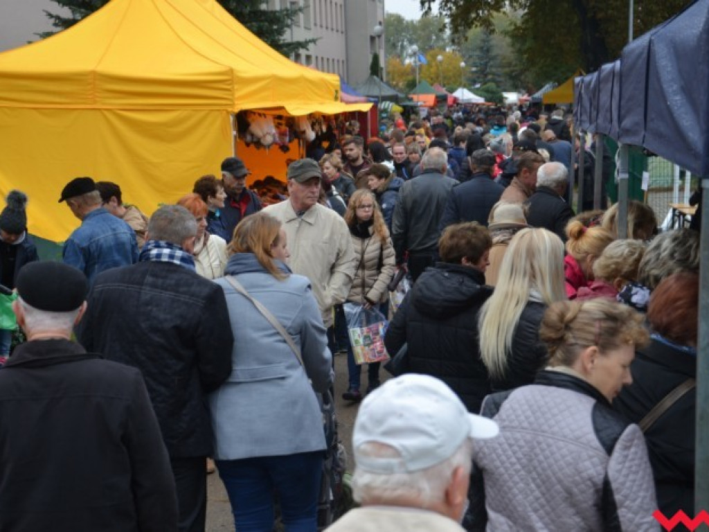 Jesienne święto handlu tuż-tuż. Oto co działo się w poprzednich latach