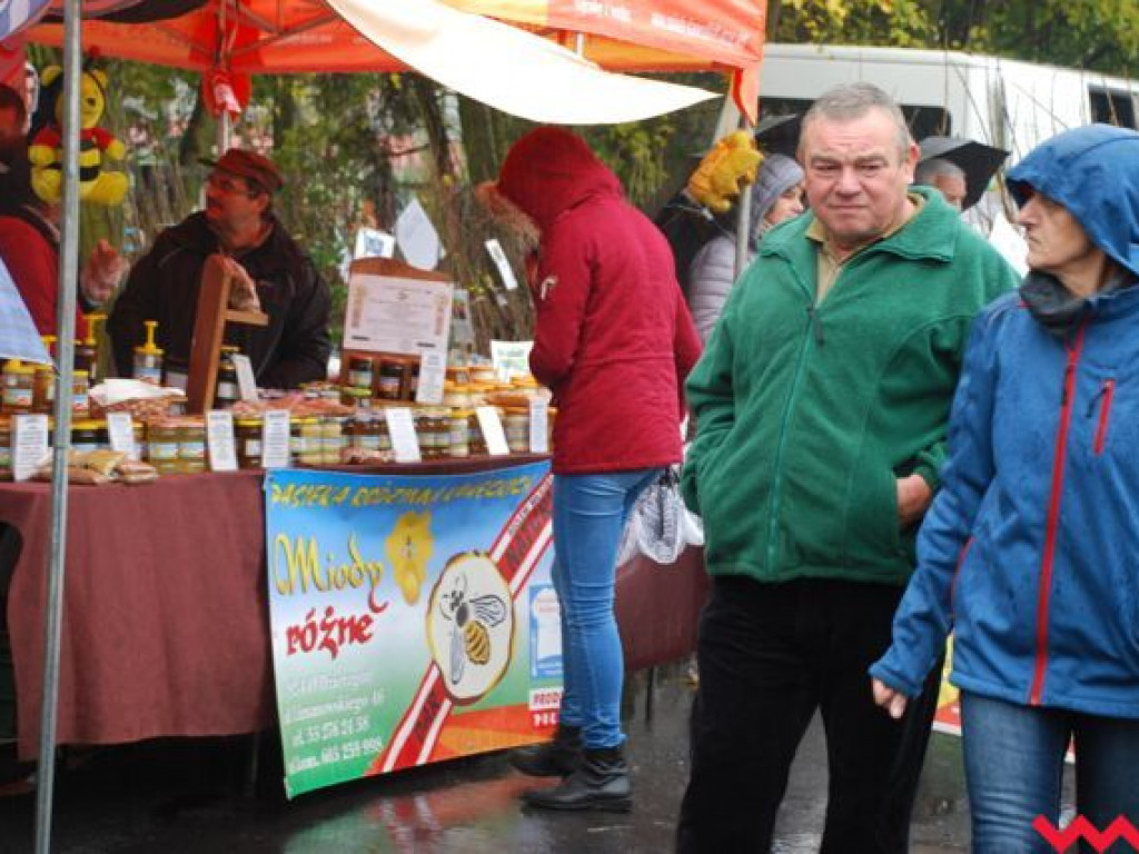 Deszcz nie zdołał przestraszyć wrześnian. Targi Rolnicza Jesień odbyły się z doskonałą frekwencją