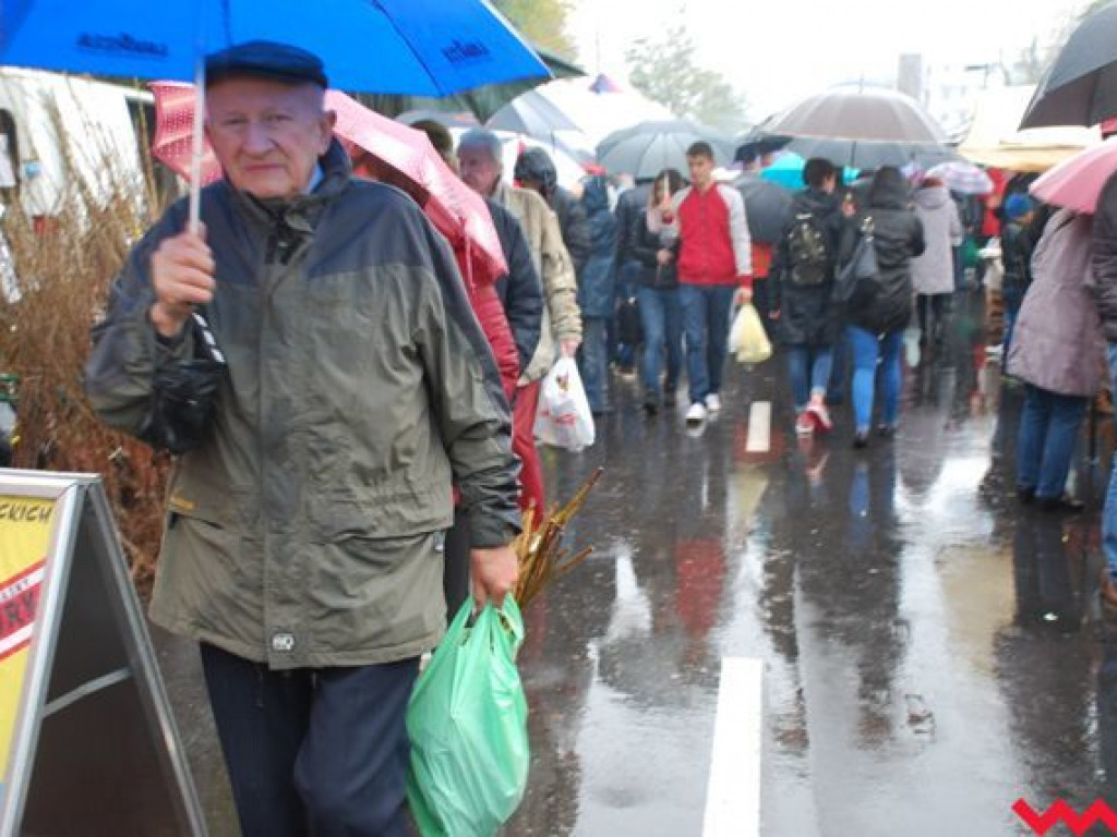Deszcz nie zdołał przestraszyć wrześnian. Targi Rolnicza Jesień odbyły się z doskonałą frekwencją