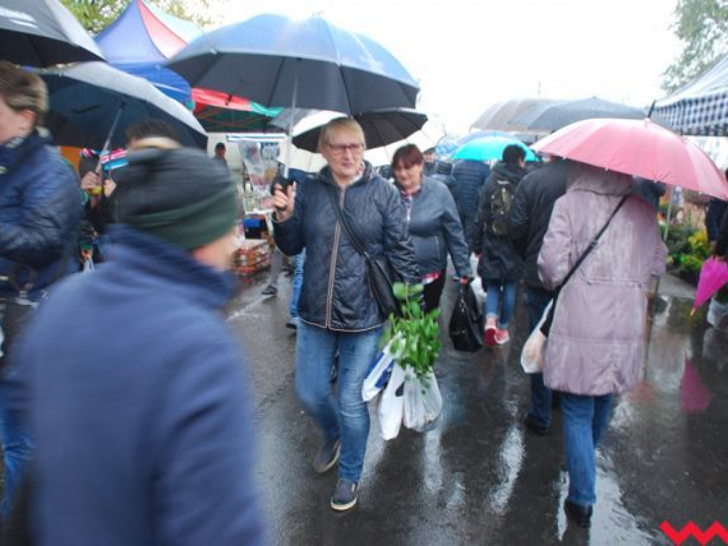 Deszcz nie zdołał przestraszyć wrześnian. Targi Rolnicza Jesień odbyły się z doskonałą frekwencją