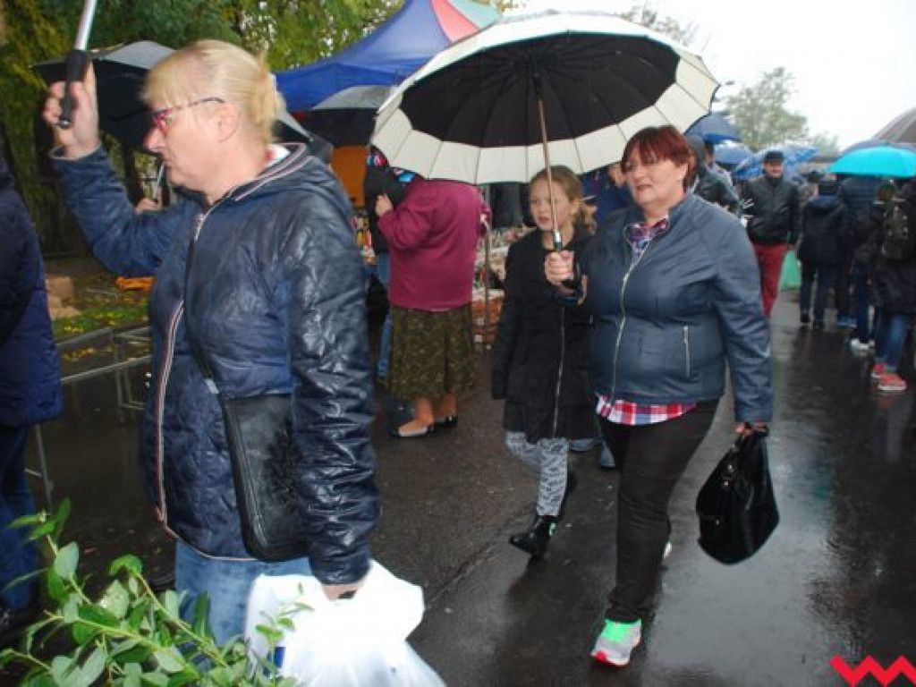 Deszcz nie zdołał przestraszyć wrześnian. Targi Rolnicza Jesień odbyły się z doskonałą frekwencją