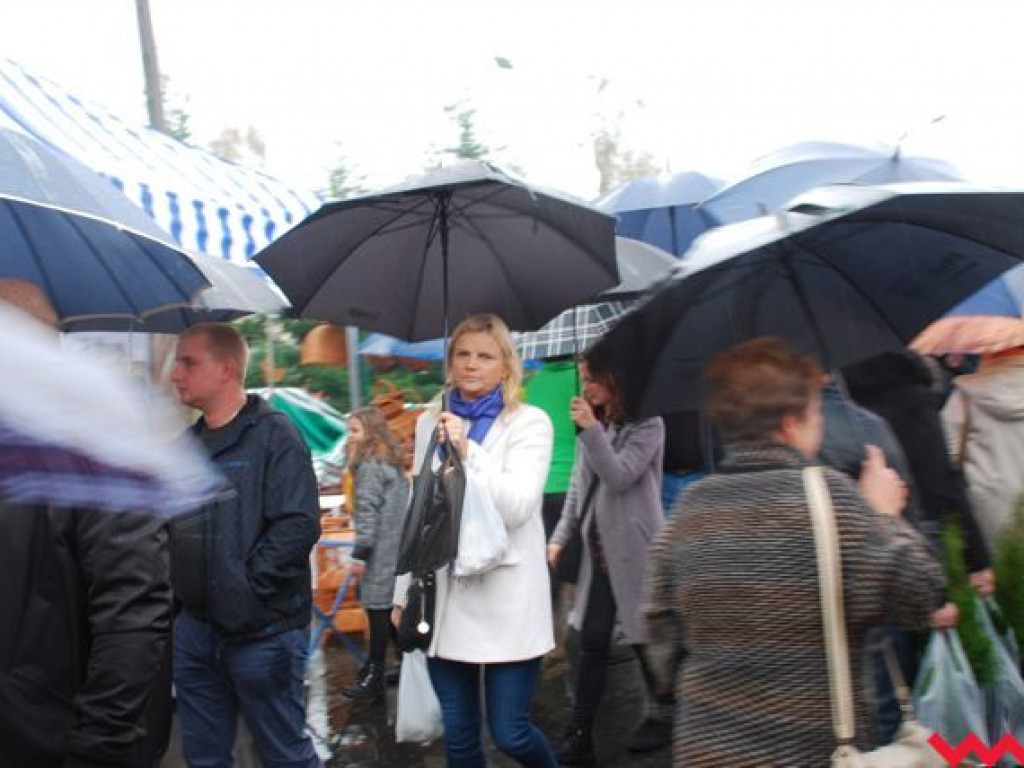 Deszcz nie zdołał przestraszyć wrześnian. Targi Rolnicza Jesień odbyły się z doskonałą frekwencją
