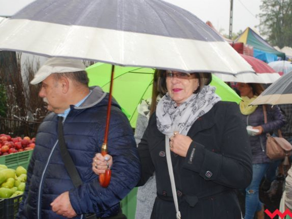 Deszcz nie zdołał przestraszyć wrześnian. Targi Rolnicza Jesień odbyły się z doskonałą frekwencją